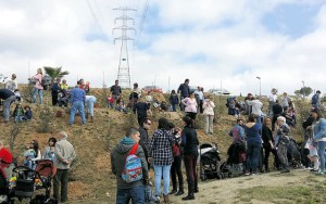 plantada d'alzines a Masquefa - la vEu de l'Anoia - VEuAnoia.cat
