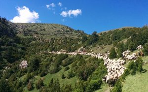 Camí ramader de Marina (Facebook)