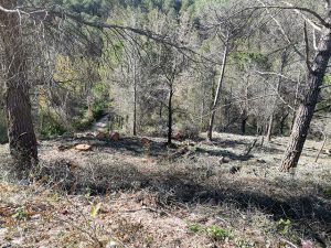 Inici del treballs d'execució de la franja de protecció d' incendis forestals al nucli de La Torre alta