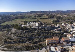 Oliveres centenàries del turó del Castell d'Òdena