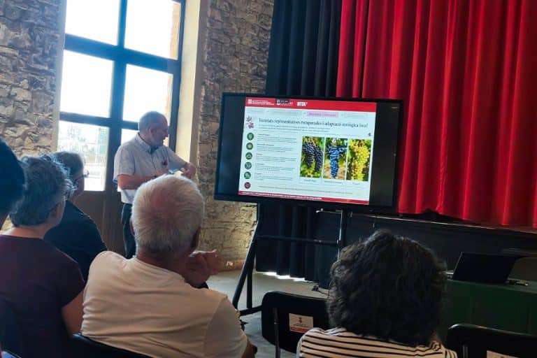jornada vinyes