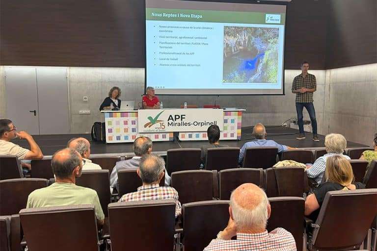 apf miralles orpinell