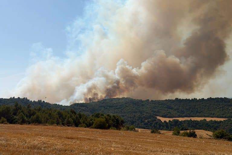 Incendi a Rubió © Maricel Forn