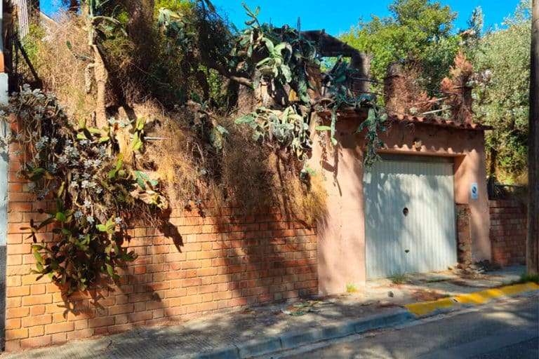 cabrera anoia mort
