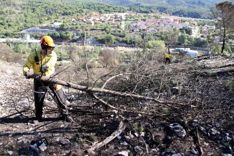 Un voluntari de l'ADF fent tasques de tala sobre un arbre cremat